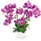 PASCH® XXL Kunstblume Orchidee Groß (56cm) in Hochglanz-Keramiktopf | Künstliche Orchideen im Topf | Kunstblumen Wie Echt (Lila)