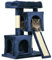 PawHut Cat Tree for Indoor Cats 83cm Cat Scratching Post Scratch Board Kitten Tower Climbing Frame Navy Blue