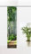 gardinen-for-life Flächenvorhang Birkenwald, Frühlings - Schiebevorhang, Gr.60x245 cm
