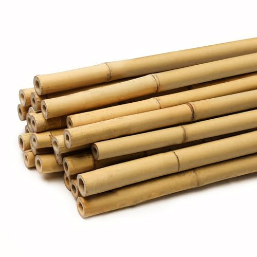 FunkyBuys Thick Bamboo Canes - Heavy Duty, Natural Garden Stakes, Strong Bamboo Sticks for Plant Support - Ideal for Gardens and Outdoor Spaces pack of 10 (2FT, (6-8mm))