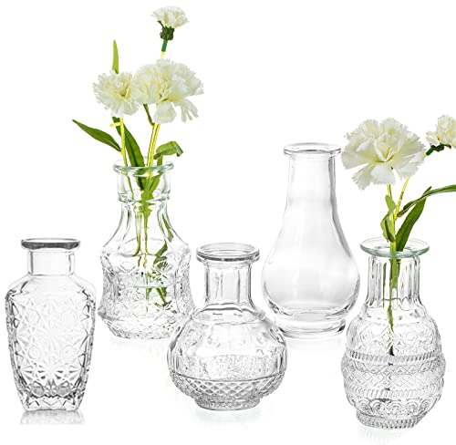 Hewory Kleine Vase Glas Hochzeit Vasen Set: Vintage Blumenvase 5er Durchsichtig Deko Handmade Mini Glasvase Transparent Tischvase für Tischdeko Hochzeit Home, Glasvasen Minivasenset Tisch Dekoration