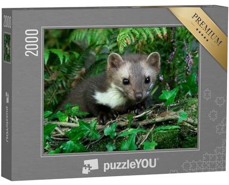 puzzleYOU: Puzzle 2000 Teile „Steinmarder in grüner Natur“ – aus der Puzzle-Kollektion Marder