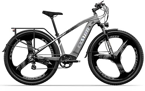 cysum Speedy Mountainbike, 29'' MTB Fahrrad für Erwachsene Mann Frau, Hydraulische Scheibenbremse, 7 Gänge (grau)
