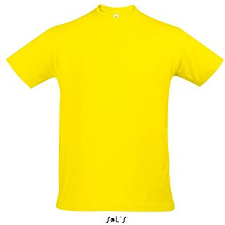 Sol’s Imperial T-Shirt - green - Medium