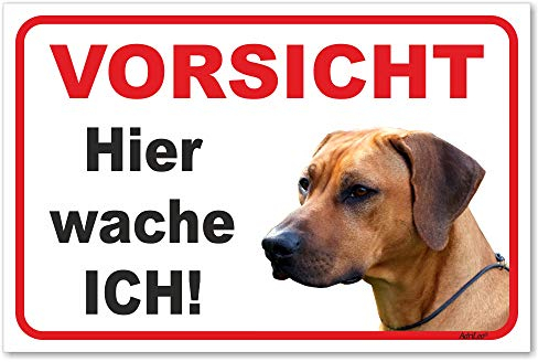 AdriLeo Schild - Vorsicht Rhodesian Ridgeback - Hier wache ich - (15x20cm) / Achtung Hund Wachhund robust langlebig UV-beständig wetterfestes Warnschild