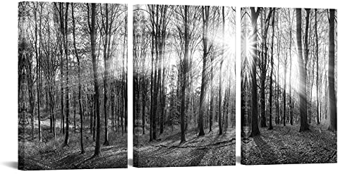 Levvarts – 3 Panneau Art mural sur toile Noir et blanc Forest Tableau Impressions d'art Winter Sunrise Nature Paysage Peinture contemporaine des illustrations pour chambre à coucher Salon Bureau