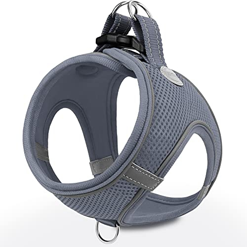 Joytale Step in Dog Harness, Soft Mesh Reflective Breathable Vest Harnesses, Easy Walk Harness with Safety Buckle for Extra Small and Small Dogs, S, Gray