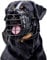 Adjustable Dog Muzzle in Metal and Leather for German Shepherd, Doberman, Rottweiler and Other Medium and Large Dogs, Ideal for TrainingBlack,L