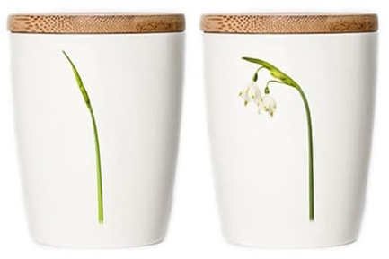 Simply Flowers - Tasse, Kaffeetasse, Teetasse, Vorratsdose - mit Bambusdeckel - Motiv: Märzenbecher- 240 ml - 1 Stück