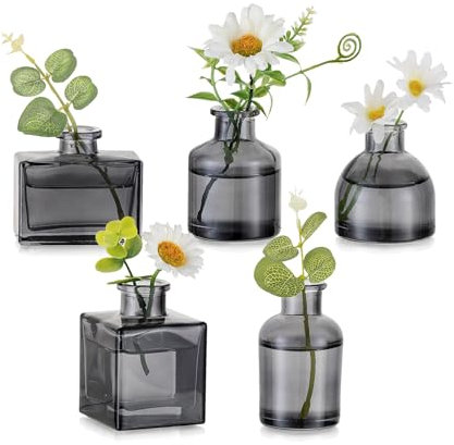 Hewory Kleine Vasen für Tischdeko Esstisch: 5er Grau Mini Vasen Set Verschiedene Kleine Glasvasen Set für Tisch Deko Wohnzimmer - Modern Blumenvase Glas für Hochzeitsdeko Home Schlafzimmer
