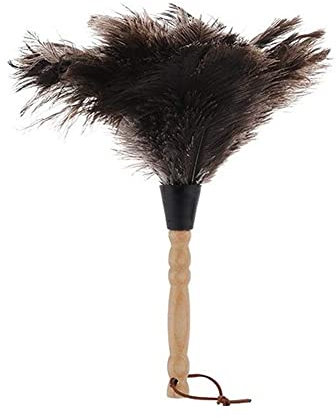 Ostrich Feather Duster,Natural Antistatic Ostrich Dusters,Household Dust Removal Tool with Wooden Handle, Quality Genuine Ostrich Feather Duster,Anti-Static Ostrich Feather Fur Brush DusteR
