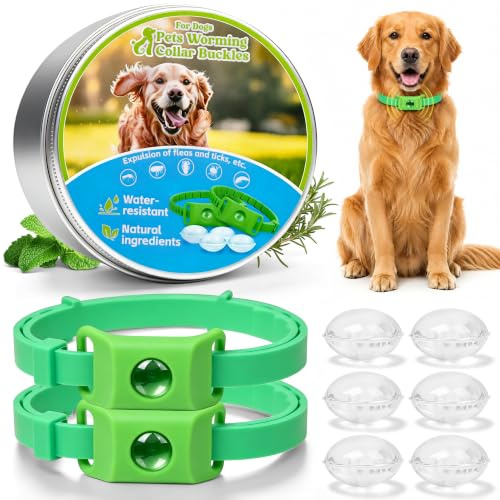 2er Set Hunde-Floh- & Zeckenhalsband mit Ätherischem Öl – 2 Grün Anhänger + 2 Verstellbare Halsbänder, inkl. 6 Austauschbare Kapseln, Natürlich & Hautfreundlich, Wasserfest