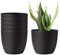 T4U 15CM Plastic Plant Pots, Self Watering Plant Pots Set of 6, Flower Pots for Indoor Outdoor, Black Plastic Planters for Plant Flower Aloe Herbs
