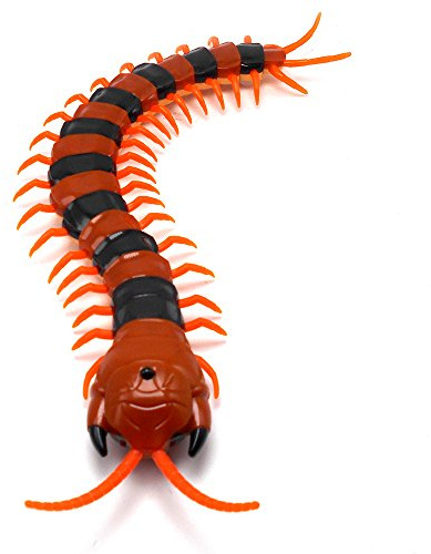 Tipmant High Simulation Cute Large Size RC Centipede Scolopendra Infrared Remote Control Vehicle Car Electric Toy Rechargeable Battery Included (Orange and black)