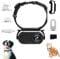 Catcam Pro, Cat Cam Pro 2.0, Cat Cam Pet Action Camera for Cats & Dogs, 1080P HD Waterproof Wearable Camera, Multi-Mount Accessories for Adventures (Black,128GB)