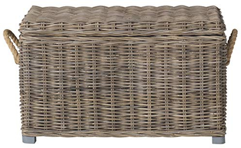 SAFAVIEH Home Collection – Salim Grey Rattan Storage Trunk with Handles, Woven Wicker Storage Chest for Living Room, Bedroom or Den, Fully Assembled (SEA7019A)