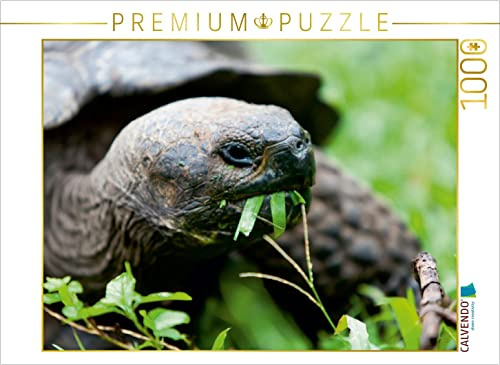 CALVENDO Puzzle Riesenschildkröte auf der Galapagos Insel Floreana | 1000 Teile Lege-Größe 64 x 48 cm Foto-Puzzle für glückliche Stunden