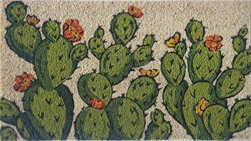 Baroni Home Zerbino da Esterno in Fibra di Cocco con Base in PVC Antiscivolo, Tappeto da Esterno Dipinto a Mano Facile da Pulire e Ultraresistente, Zerbino Ingresso 70x40x2 cm, Cactus Fiori Arancioni