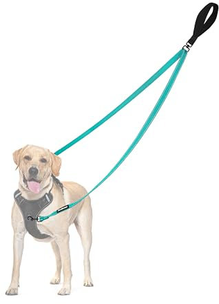 PetBonus No Pull Anti-Zieh Hundeleine, Keine Verwicklung Doppelleine für Anti-Zug Geschirr, Reflektierend Hundeleine zum Trainieren und Gassi gehen für große mittlere Hunde (Türkis)