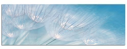 PANORAMA BILD 150x50cm (Blumen Blüten Bild Pusteblume blau) EXKLUSIVES Fotowandbild auf Leinwand und Keilrahmen Leinwandbild Fotodruck modern Zeitlos Stilvoll wie ein Gemälde