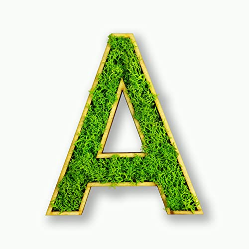 Moosly® Holzbuchstabe - A - mit Rahmen aus Holz, Moos Deko Buchstaben Zeichen Symbol Zahl - Holzbuchstabe mit echtem Islandmoos - Wandbilder Wohnzimmer Deko Wand Bilder Wohnzimmer Bilder