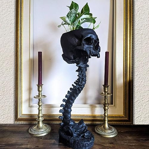 Duqulle Totenkopf Mit Rückgrat, Pflanzentopf, Kunstharz, Totenkopf-förmiger Blumentopf, Skelett, Heimdekoration, Goth-Grusel-, Vase Für Sukkulenten, Zimmerpflanzen Und Blumen