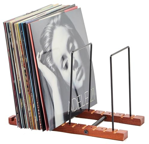 JETAINE Vinyl Record Storage, Display Up to 50 LP Albums DVDs CDs, Wood Vinyl Holder lp Storage Box, Book Display Stand Storage, Shelf Record Stand Cabinet Case for Modern Home Office Desktop Decor