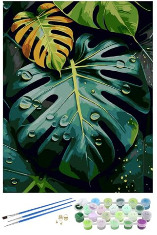 EOBROMD Monstera Deliciosa Paint by Numbers for Adults Beginner, Plant Paint by Numbers Kits Without Frame, Painting by Numbers for Gift Home Wall Decor 16x20inch