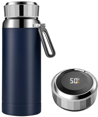 Homealexa Bouteille isotherme 800 ml - En acier inoxydable 304 - Affichage de la température à écran tactile LED - Idéale pour la maison, le bureau, les voyages, le sport - Bleu