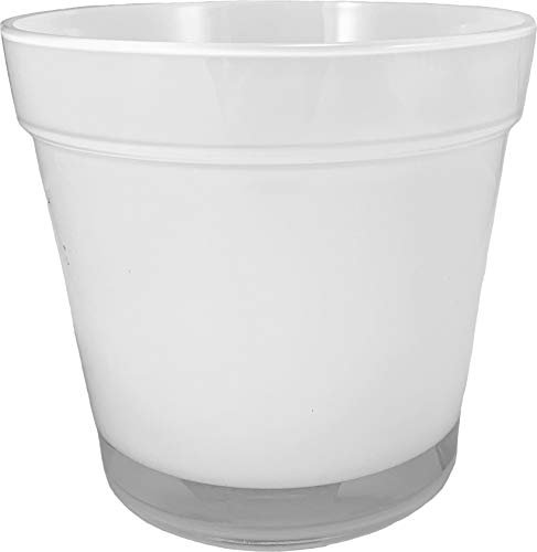 FRANCACOR Maceta Cristal para orquídeas 14 x 13 cms Color Blanco