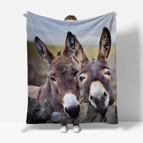 XCWYF Kuscheldecke Tier Esel 180x220cm Warm Sherpa Sofaüberwurf Decke, Dicke Sofadecke Couchdecke, Flauschige Wohndecke für Couch