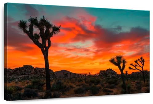 ElephantStock - Sunset Yucca Palms Wall Art - Horizontal Canvas Wall Art - Hallway Wall Decor - Photography Places Canvas Art - Brown And Orange Decor - 12 x 8