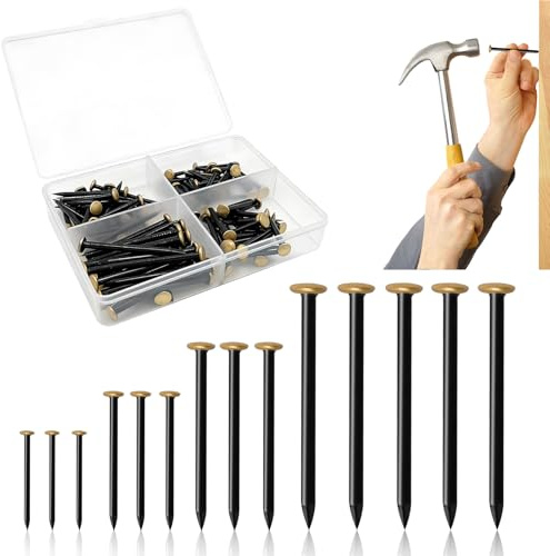 Picture Nails 120 Pack 20/25/30/40 mm - Stainless Steel Wall Nails with Gold Colored Head for Concrete, Brick, Wood - Easy Installation for Pictures, Mirrors, Home Decorations