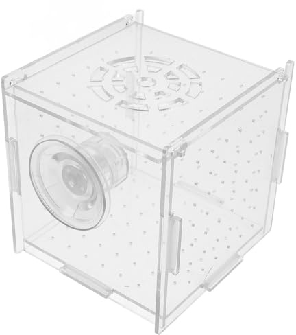 EPIGEIST Aquarien Brutkasten aus Transparentem Acryl mit Saugnäpfen Zucht und Isolierbox für Fische Garnelen und Guppy Kompakter Fischzuchtbehälter für Aquarium und Hydroponik