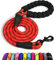 Taglory Laisse Chien Corde, Laisse pour Chien en Nylon avec Poignée Rembourrée Douce et des Fils réfléchissants pour Grande Taille, 180cm x 1.2cm, Rouge