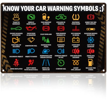 DOODLREAM Funny Sarcastic Tin Sign Retro Metal Wall Decor 20 x 30cm Vintage Know Your Car Warning Lights Wall Art Poster for Home Cafes Outdoors Garden Gallery Man Cave Office Clubs Decor Gift
