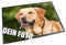 Unikatolo Personalisierte Fußmatte mit deinem Foto Bedruckt, Fußabtreter, Vorleger, Schmutzfangmatte Flur Eingangsbereich, Geschenkidee Hochzeit, Richtfest Einzug, Jubiläum, Hundefoto (50 x 35 cm)