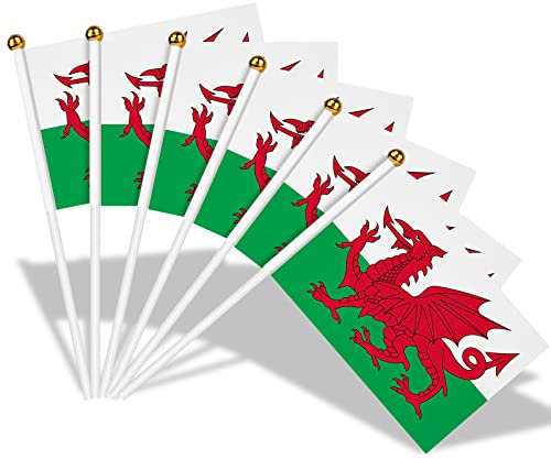 AhfuLife Klein Wales Flaggen für St. David's Day Deko, 30 Stück Walisische Handflaggen mit 30cm weißem Pole für 2024 Fans Fußball Euro St. David's Day Party Zuhause Garten Bar Deko