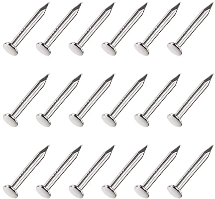 METALLIXITY Small Nails (1.2x10mm) 1000pcs, Carbon Steel Tiny Hardware Nails - for Household Woodworking, Silver Tone