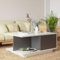 DF Table Basse de Salon, Moderne Table Salon avec Un Compartiment de Rangement Pratique, Finition de Plateau Blanc Brillant (Gloss Gray)