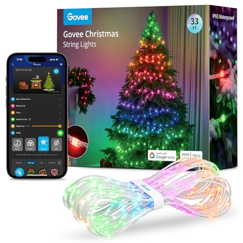 Govee RGBIC Luci Natalizie per Esterni 10M, Ghirlanda di Luci di Halloween Decorazione Natalizia per Interni, Luci LED 100 Luci LED, Più di 9 Modalità Scena, Impermeabile IP65, Compatibilità Alexa