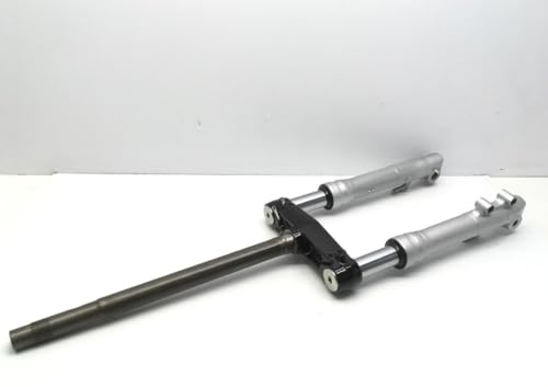Runner 50 von 2010 bis 2017 Vordergabel komplett, Silber und Schwarz