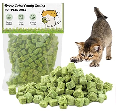 Collations pour Chats Herbe à Chat, 60g Snack pour Chat Lyophilisé pour Le Nettoyage des Dents