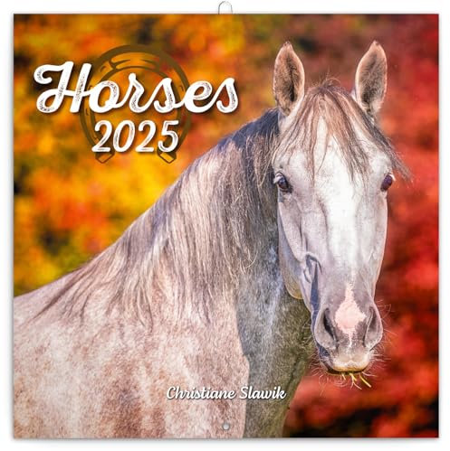 NOTIQUE Wandkalender Pferde 2025 Kalender, Broschürenkalender mit Monatskalendarium, Broschurkalender Tierkalender 30 x 30 cm (30x60 Geöffnet)
