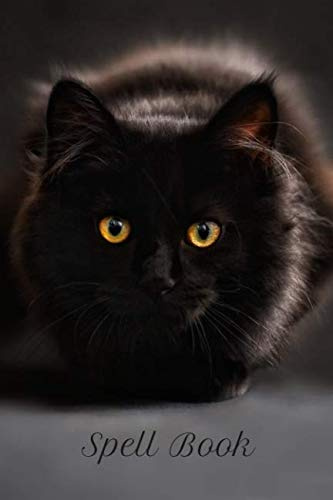 Spell Book: Lined Journal Black Cat Notebook