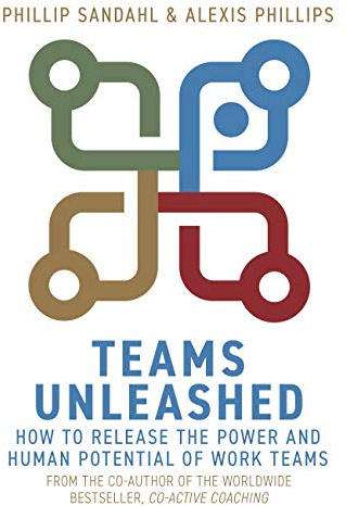 Teams Unleashed: How to Release the Power and Human Potential of Work Teams