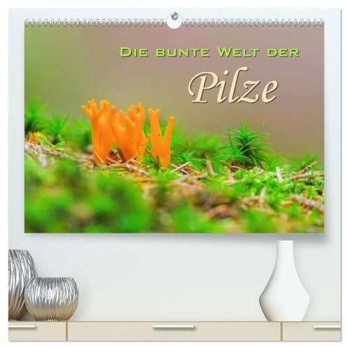 Die bunte Welt der Pilze (hochwertiger Premium Wandkalender 2026 DIN A2 quer), Kunstdruck in Hochglanz: Aufnahmen von Waldpilzen (CALVENDO Natur)