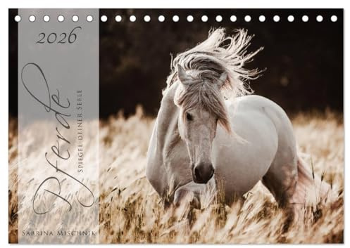 Pferde - Spiegel deiner Seele (Tischkalender 2026 DIN A5 quer), CALVENDO Monatskalender: Lassen Sie sich entführen in die Faszinierende Welt der Pferde (CALVENDO Tiere)
