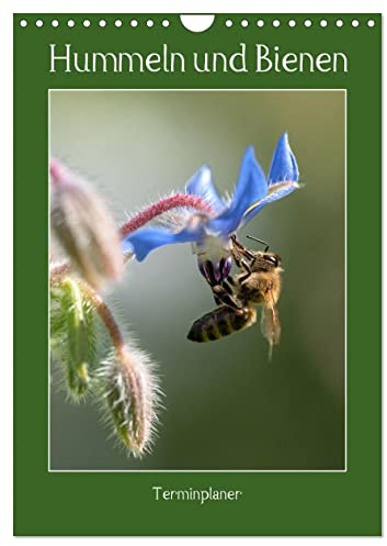 Hummeln und Bienen Terminplaner (Wandkalender 2026 DIN A4 hoch), CALVENDO Monatskalender: Terminplaner mit fleissigen Bienen, flauschigen Hummeln und bunten Blüten (CALVENDO Tiere)