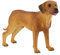 Bullyland 65442 - Spielfigur, Rhodesian Ridgeback Nelson, ca. 12 cm